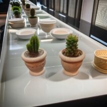 شمعدان مدل کاکتوس